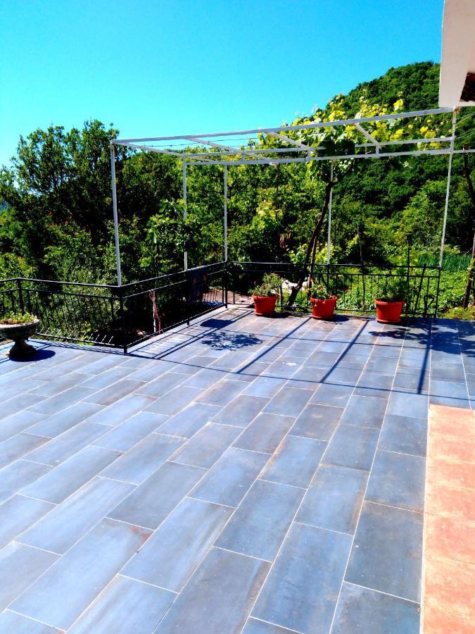 Country House "Lipa" Komarno Virpazar Exterior foto